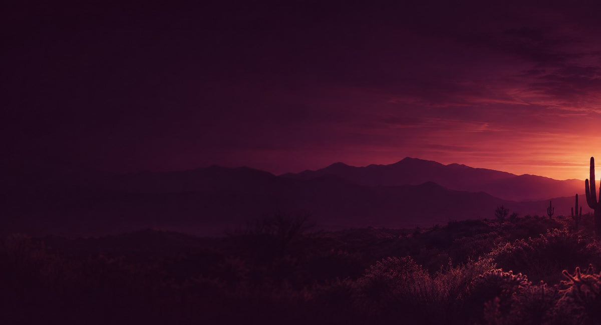Arizona desert sunset with saguaro cacti and mountains